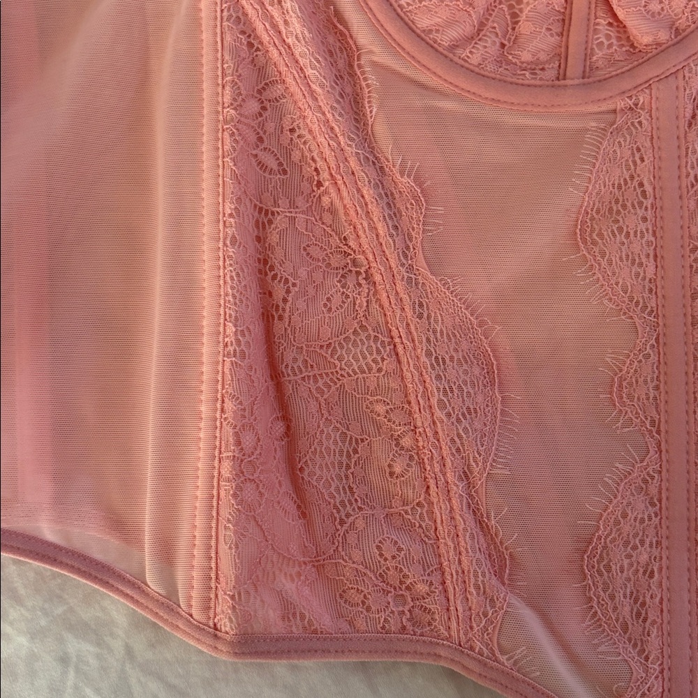 Pink Lace Corset  Bustier  Top Sz L NWT - Picture 10 of 16